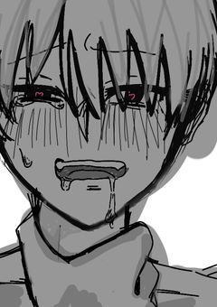 薔薇,百合イラスト(シクスフォトあり)(//*   *//)ｶｧ