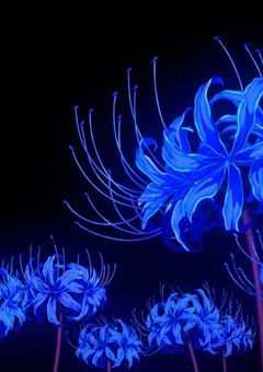 一 般 人 、青 い 彼 岸 花 大 量 摂 取 し ま し た