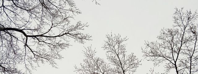 IROHAさんの壁紙画像