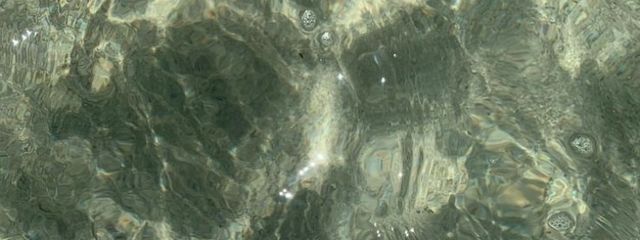 　琴 乃さんの壁紙画像