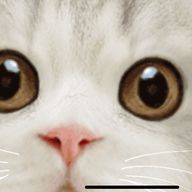 黄金のような⭐︎夢⭐︎さんのアイコン画像