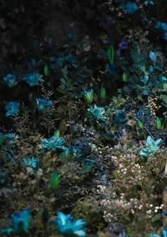 お嬢様…誰を選びますか？