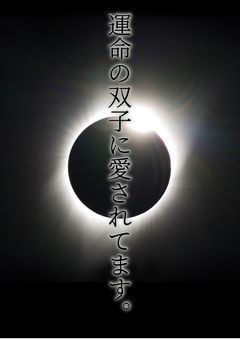 運命の双子に愛されてます