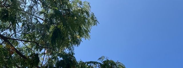 あや@フォロバさんの壁紙画像