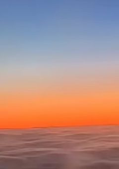 先生たちのお気に入り