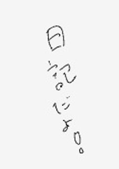 ひ　な　の　の日記