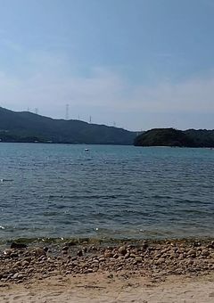 台本なんて無いから