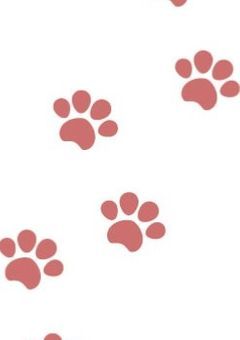 リーダー組がネコに！？