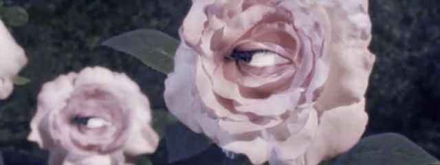 　　　︎　𝘝𝘢𝘭𝘦𝘯𝘵𝘪𝘯𝘦　ྀི　　さんの壁紙画像