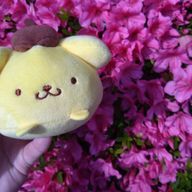 琥珀さんのアイコン画像
