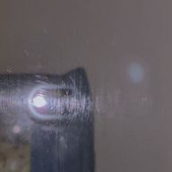 夜桜.*さんのアイコン画像