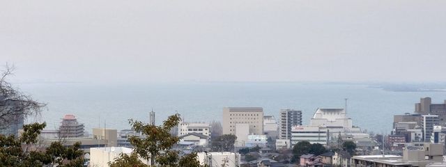 あららさんの壁紙画像