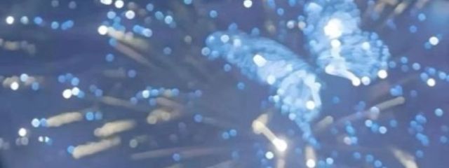 　　　　　𝘈𝘷𝘢さんの壁紙画像