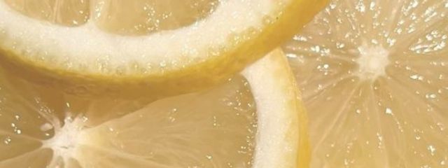  　  夏野 向葵さんの壁紙画像