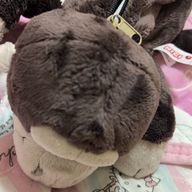 かむさはむにださんのアイコン画像