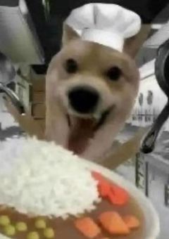 私は料理をしながら貴方の状態を確認します。