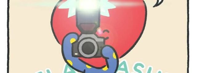 🐤ちゃんさんの壁紙画像