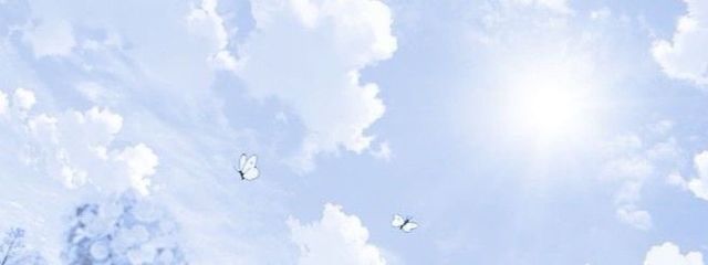 　れもん .さんの壁紙画像