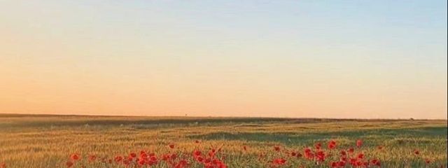 うゆさんの壁紙画像