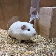 みなぎさんのアイコン画像