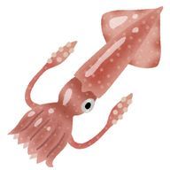 するめいかさんのアイコン画像