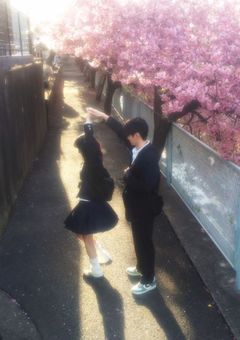 今日好き ♥ 𝗂𝗇 パリ