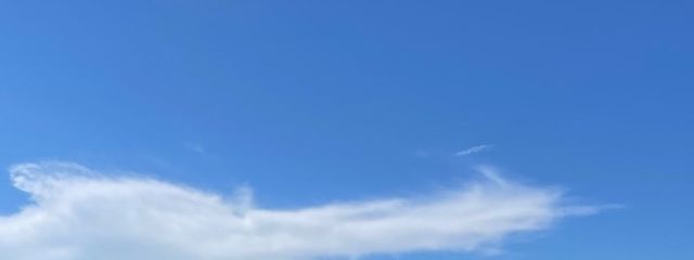 通知消化したいけど頑張れないさんの壁紙画像