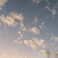 通知消化したいけど頑張れないさんのアイコン画像