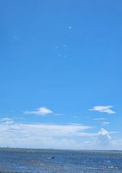 永遠の夏と、海の向こうの我々だ‼
