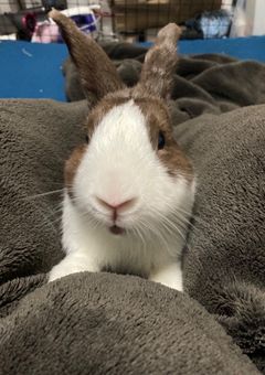 友達が欲しい!!!!!!!!!