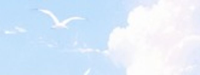 雲音ふわりさんの壁紙画像