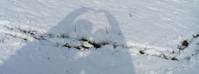 まみ【STPR箱推し】さんの壁紙画像