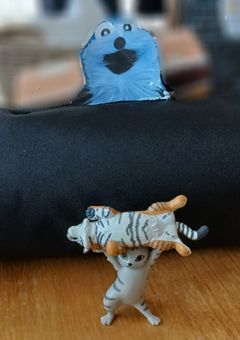 家でふざけて撮った写真