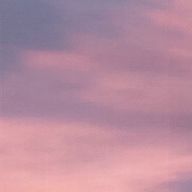 りんごさんのアイコン画像