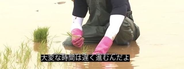 ちょもらんまさんの壁紙画像