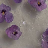 soniさんのアイコン画像