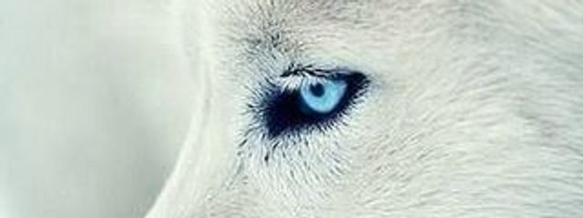 霧 雨 ⇆ 瑛 次 郎 さんの壁紙画像