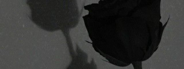れんさんの壁紙画像