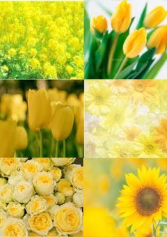 好きになってもいいですか？🍓👑