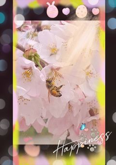 ワールドトリガー✖黒子のバスケ