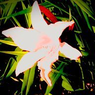 チクタクさんのアイコン画像