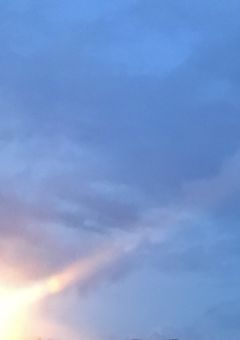 貴方と私。其れは絶対叶わぬ恋。だから疾く。