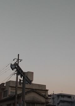 殺人ドール