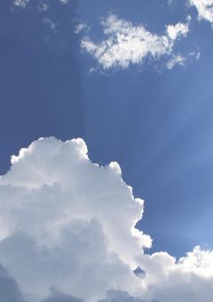 神に愛された少女　　