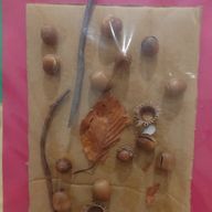 さちさんのアイコン画像