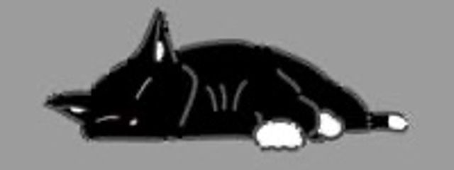 黒瀬さんの壁紙画像