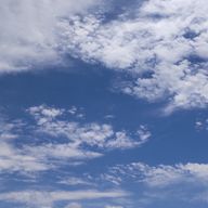 SAKIさんのアイコン画像