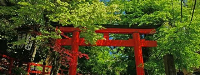 鬼夏。さんの壁紙画像