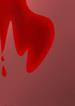 『ダイスキ。』