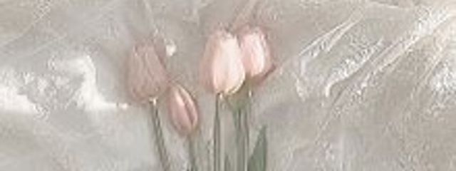 kotさんの壁紙画像